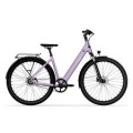 TENWAYS CGO800S Electric Bike UK