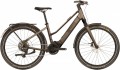 2026 Raleigh Hockley Mid-Step Electric Bike In Coffee Gloss