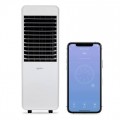 Igenix 10 Litre Smart Air Cooler UK