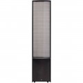 MartinLogan - Renaissance Dual 12