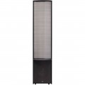 MartinLogan - Renaissance Dual 12