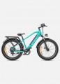 ENGWE E26 Electric Bike UK