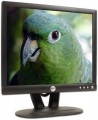 Dell E173FPb 17