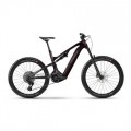 Haibike 2025 ALLMTN CF 9 i 25 HB C2 UK