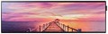 Samsung SH37F LCD Monitor